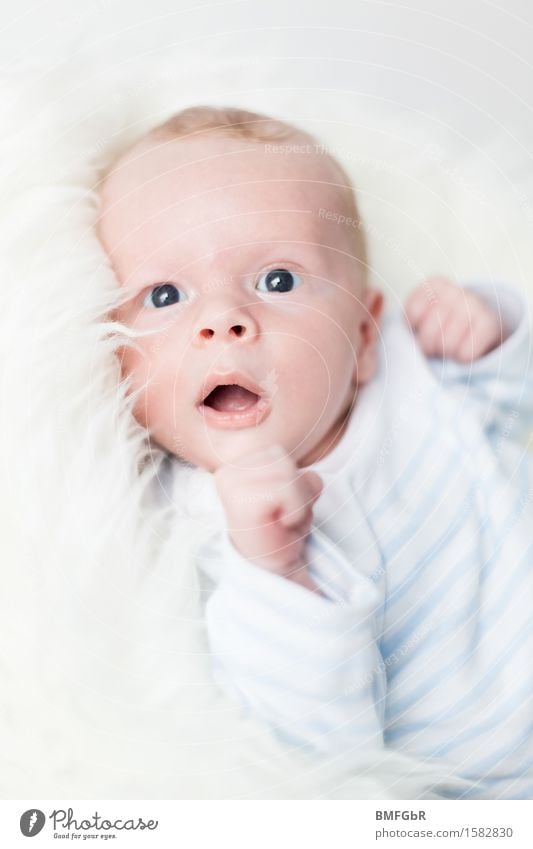 Meine tolle Kuscheldecke Mensch maskulin Kind Baby Kleinkind Kindheit Leben 1 0-12 Monate genießen Lächeln liegen Blick Fröhlichkeit frisch Neugier niedlich