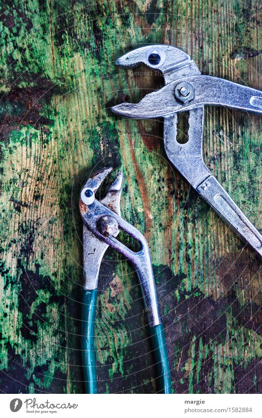 Höre gut zu! Zwei Zangen mit Augen auf einem alten Holztisch Beruf Handwerker Arbeitsplatz Baustelle Dienstleistungsgewerbe Werkzeug Schere Tier 2 sprechen