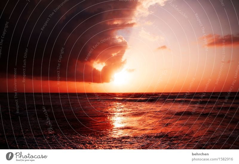 traumwelt Ferien & Urlaub & Reisen Tourismus Ausflug Abenteuer Ferne Freiheit Landschaft Himmel Wolken Horizont Sommer Schönes Wetter Wellen Küste Strand Meer