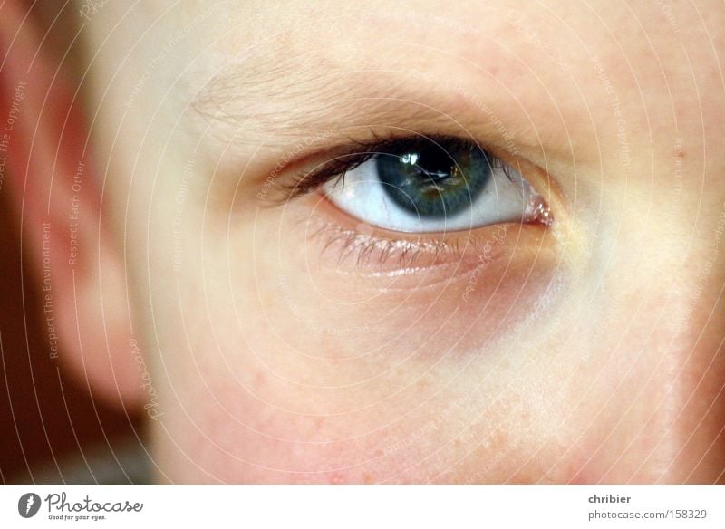 Ick wull ju wat... Auge Kind Gesicht Porträt drohen böse Wut Junge Blick Ärger Makroaufnahme Nahaufnahme chribier Jugendliche