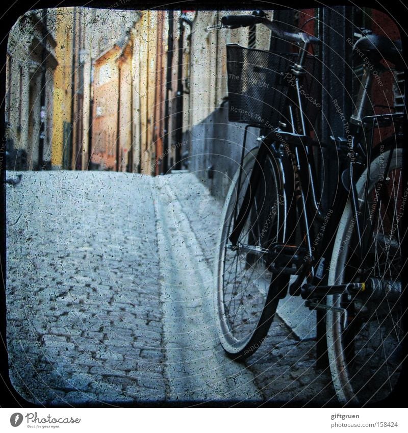 in the streets of stockholm Fahrrad Straße Altstadt Haus Gasse Stockholm Kopfsteinpflaster Gamla Stan Taube Spaziergang Europa Verkehr Verkehrswege parken