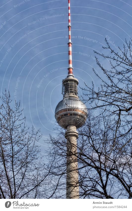 Mal was anderes Telekommunikation Himmel Herbst Winter Schönes Wetter Baum Berlin Hauptstadt Stadtzentrum Menschenleer Turm Bauwerk Architektur Sehenswürdigkeit