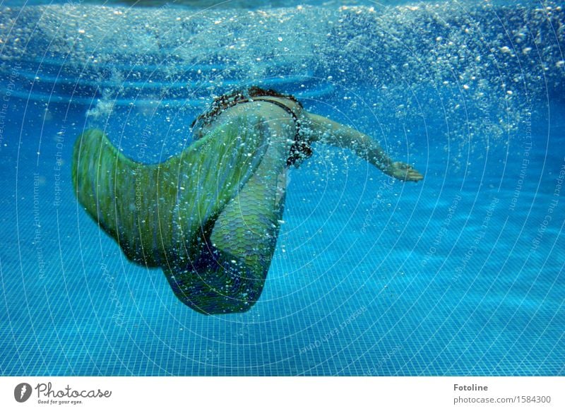 Tauchgang Mensch feminin Mädchen Junge Frau Jugendliche Kindheit Urelemente Wasser Sommer hell maritim nass blau grün Meerjungfrau Schwimmen & Baden tauchen