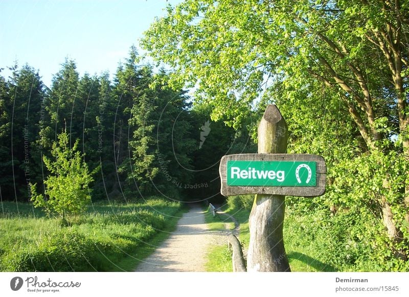 bitte hier langtraben Wald Sommer Pferd Ausritt Tier Fußweg Hufeisen Reitsport Wege & Pfade Schilder & Markierungen Sonne