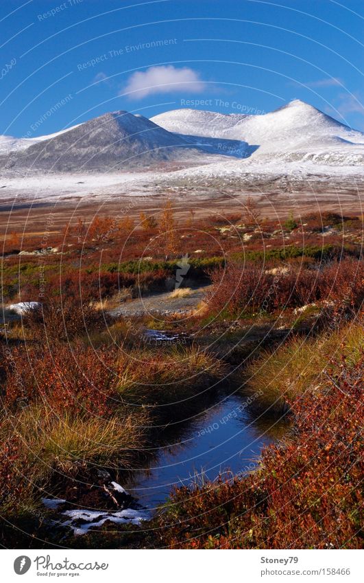 Indian Summer in Rondane Ferne Schnee Berge u. Gebirge Natur Landschaft Himmel Herbst Schönes Wetter Teich blau braun mehrfarbig rot weiß ruhig Einsamkeit