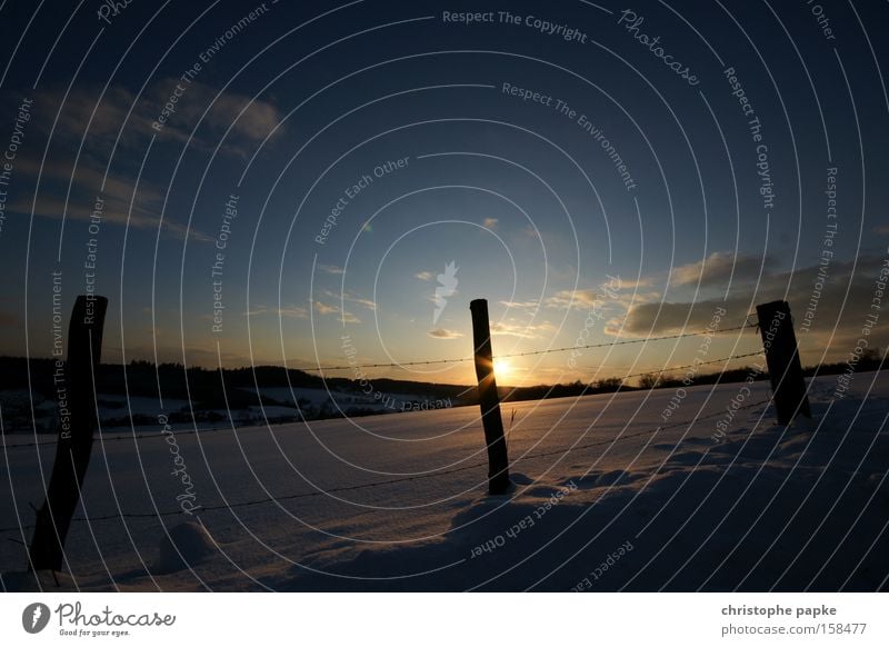 Schneelandschaft Farbfoto Außenaufnahme Menschenleer Morgendämmerung Abend Dämmerung Gegenlicht Zentralperspektive Weitwinkel Sonne Winter Natur Landschaft