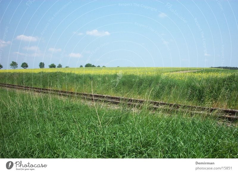 Gleise durchs Feld Raps grün Sommer Verkehr Himmel Eisenbahn Verkehrswege