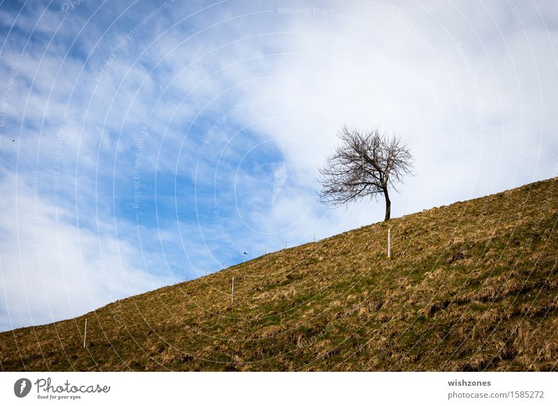 Against all odds harmonisch Wohlgefühl Erholung Meditation Ausflug Freiheit Umwelt Natur Landschaft Pflanze Erde Himmel Wolken Frühling Herbst Klima Klimawandel