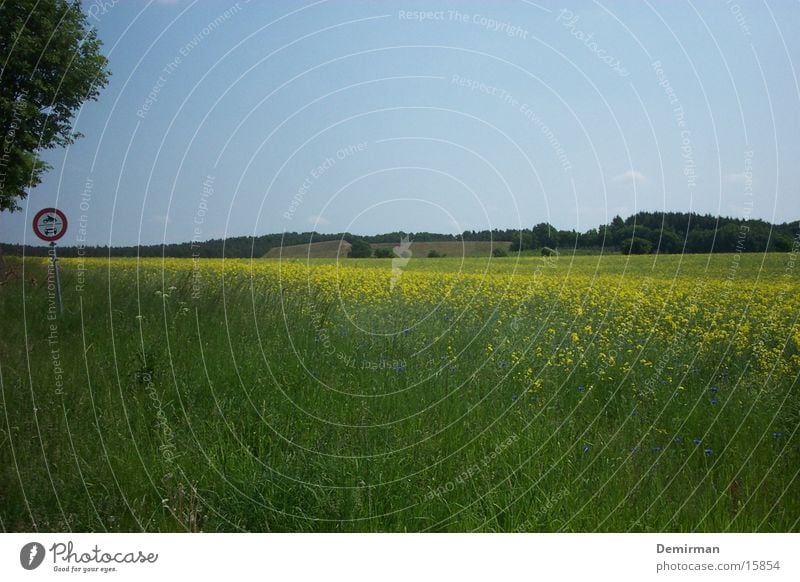 Schild auf Wiese Feld Sommer Schilder & Markierungen Sonne Hinweisschild