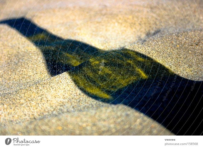 Flasche in Falten Getränk Erfrischungsgetränk Trinkwasser Limonade Alkohol Freude Erholung Sonne Strand Sand grün Rotwein Stranddüne Düne Schatten Schattenspiel