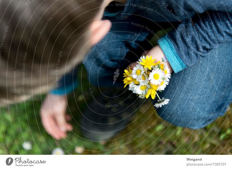 Muttertag & Co harmonisch Valentinstag Ostern Geburtstag Kind Kleinkind Mädchen Junge Hand 3-8 Jahre Kindheit Feste & Feiern hocken Glück natürlich Freude