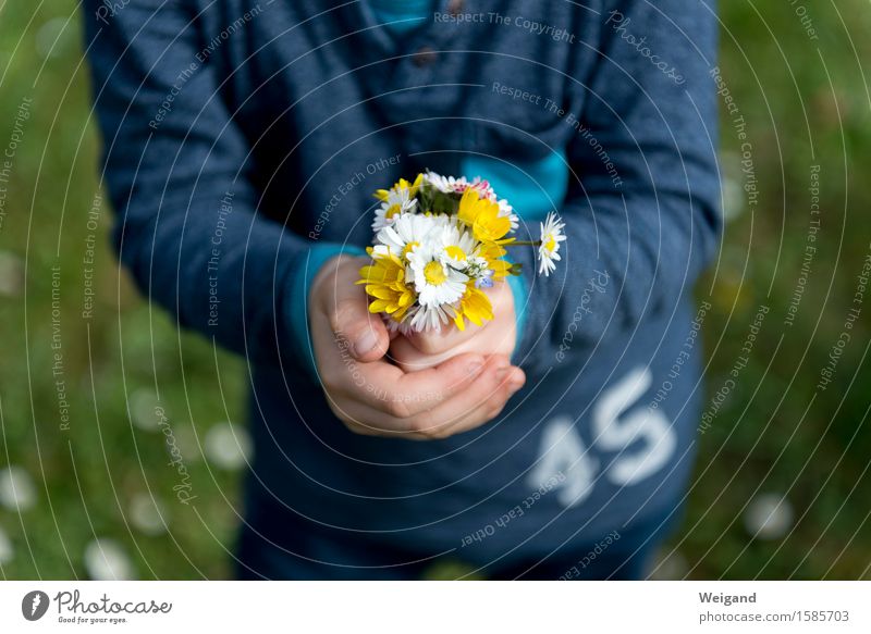 Muttertag & Co Picknick Glück Garten Kindererziehung Kleinkind Mädchen Junge 3-8 Jahre Kindheit Frühling Sommer Duft Liebe schön Zufriedenheit Lebensfreude