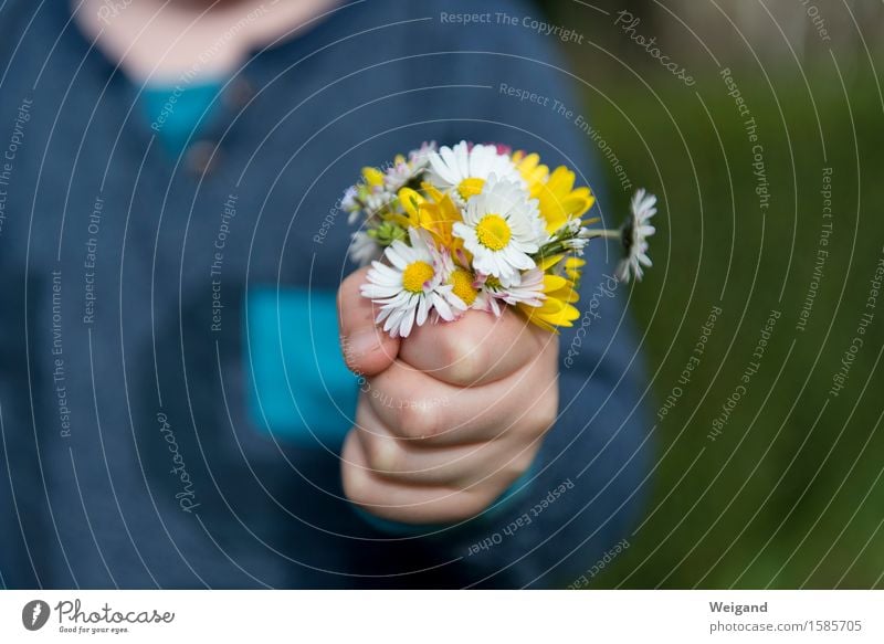 Mitbringsel Allergie Wohlgefühl Zufriedenheit Sinnesorgane Kinderspiel Garten Feste & Feiern Muttertag Geburtstag Taufe Kindererziehung Bildung Kindergarten