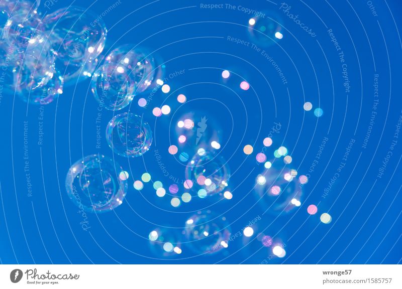 rund | Farbspielerei Freude Party Hochzeit Geburtstag Kinderfest Kindergeburtstag Seifenblase fliegen Spielen Glück Unendlichkeit nah blau mehrfarbig violett