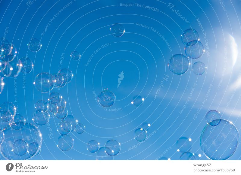 Seifenblasenschwarm Spielen Sommer Sonne Tropfen glänzend blau weiß Freude Blase Kugel kugelrund durchsichtig durchscheinend leicht Leichtigkeit filigran