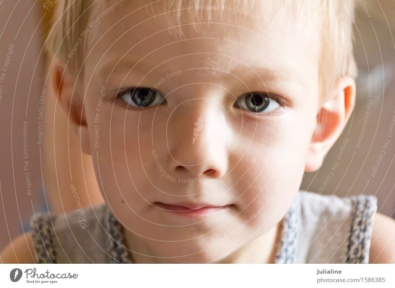 Netter Junge mit blonden Haaren Kind Schulkind Kindheit 1 Mensch 3-8 Jahre weiß Vorschulkind sechs 7 Kaukasier Europäer Farbfoto