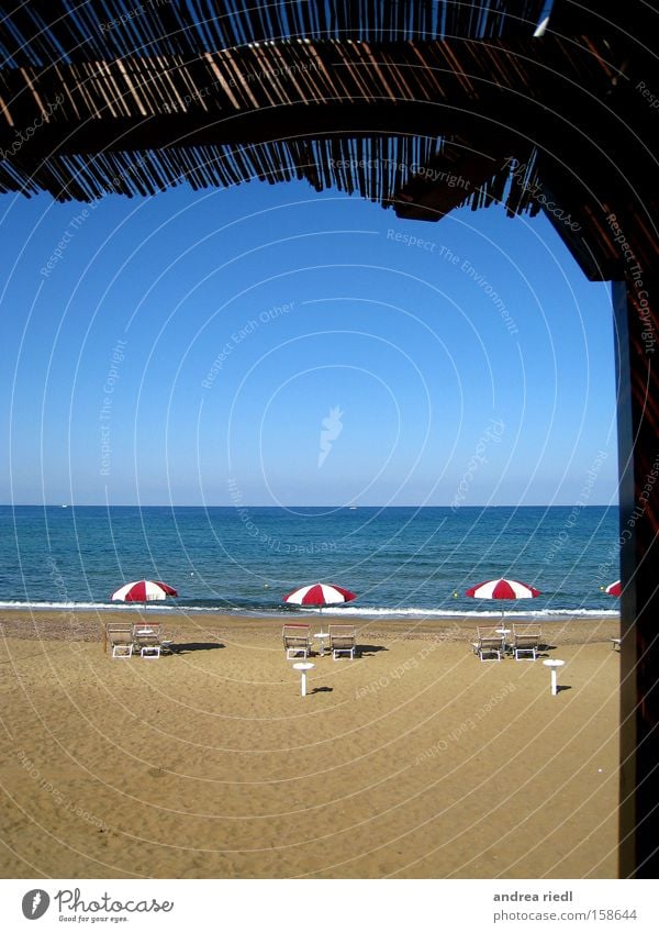 a schöne Aussicht Meer Sand Muschel Sonnenschirm Ferien & Urlaub & Reisen erholsam spaßig Toskana Florenz Pisa Siena Strand Küste Italien Gelati