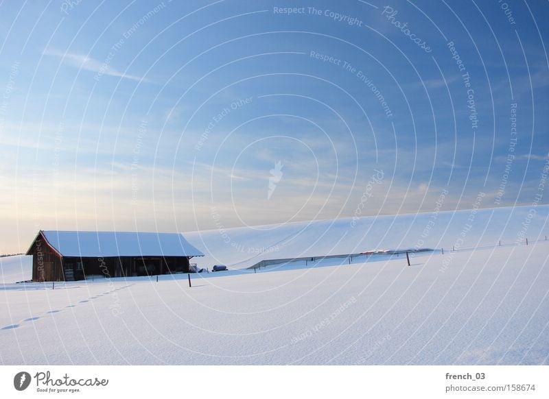 winterlich schön Ferne Winter Schnee Natur Landschaft Himmel Wolken Horizont Schönes Wetter Berge u. Gebirge Dorf Hütte kalt natürlich blau weiß Stimmung