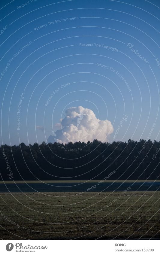 the awakening Wolken aufwachen Watte Einsamkeit Himmel weich Wetter Wachstum Horizont stark leicht Zuckerwatte Kraft bewachsen