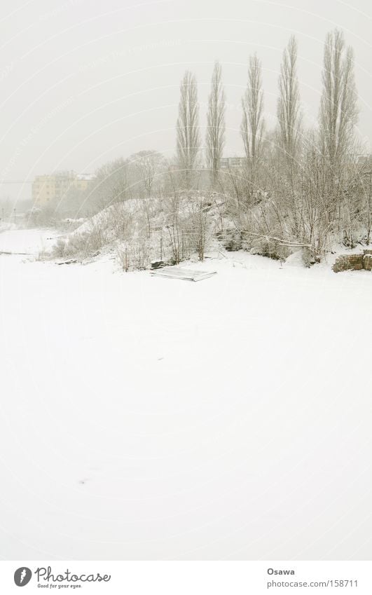 Ostkreuz 26 Winter Schnee Eis weiß hell Baum kahl Landschaft Osten Friedrichshain Orgelpfeife Bahnhof S-Bahnhof Copyspace fertig 2016