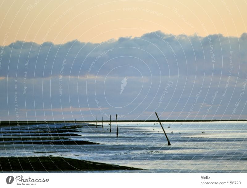 Wintersee Meer Nordsee Küste Strand Buhne Wolken Himmel leer Einsamkeit Wasser Ebbe Ferien & Urlaub & Reisen ruhig