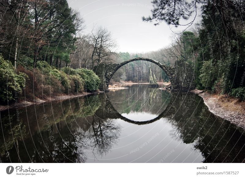 Rakotzbrücke Kunst Kunstwerk Umwelt Natur Landschaft Pflanze Wasser Himmel Horizont Frühling Schönes Wetter Baum Sträucher Garten Park See Brücke Bauwerk