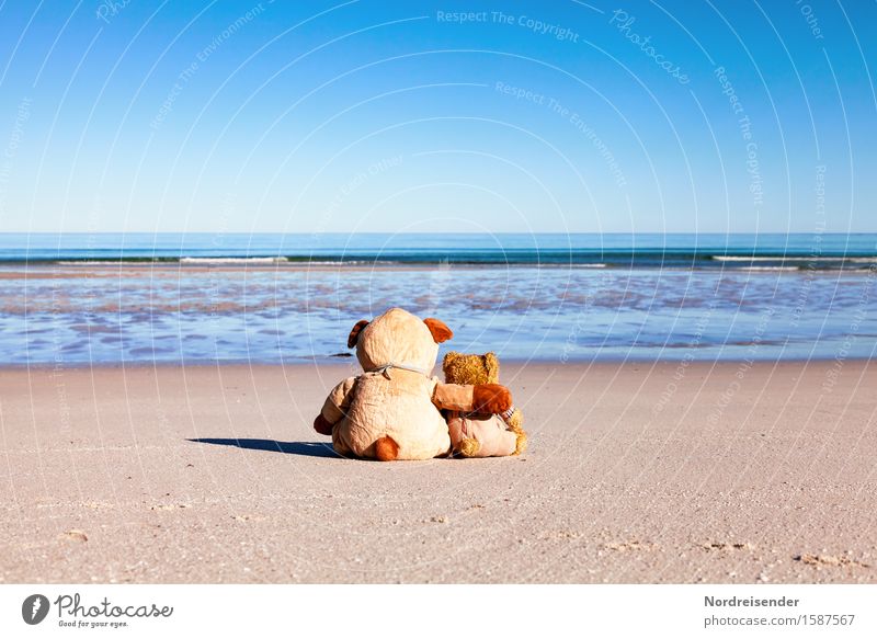 Seele baumeln lassen Picknick Ferien & Urlaub & Reisen Ferne Sommerurlaub Strand Meer Kindererziehung Urelemente Wolkenloser Himmel Schönes Wetter Nordsee