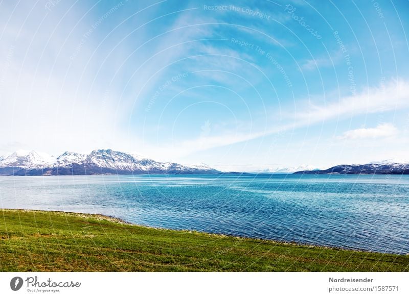 Nordeuropa Ferien & Urlaub & Reisen Urelemente Luft Wasser Himmel Wolken Sommer Schönes Wetter Wiese Berge u. Gebirge Schneebedeckte Gipfel Küste Fjord Meer