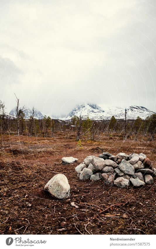 Mystik der Tundra Ferien & Urlaub & Reisen Berge u. Gebirge wandern Natur Landschaft Urelemente Himmel Wolken Klima schlechtes Wetter Regen Wald