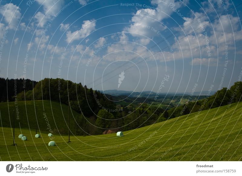 bügelfalten Wiese Gras Berge u. Gebirge Schweiz Hügel saftig Himmel Wald Rasenmäher Aussicht Landschaft Idylle Wolken Alpen Sommer lenk