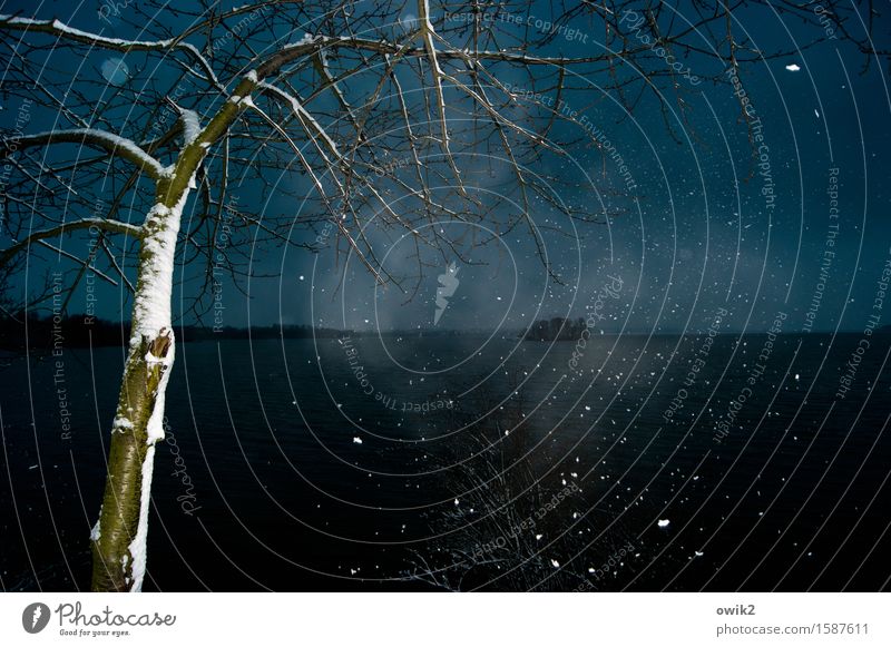 Gestöber Umwelt Natur Landschaft Pflanze Urelemente Himmel Horizont Winter Schönes Wetter Schnee Schneefall Baum fallen dunkel kalt Idylle Wolken Farbfoto