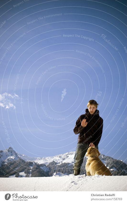 Spaziergang Jugendliche Winter Schnee Labrador Hund Himmel Wintersport Berge u. Gebirge Alpen Zähmung Schneelandschaft Tier Mann hundetraining