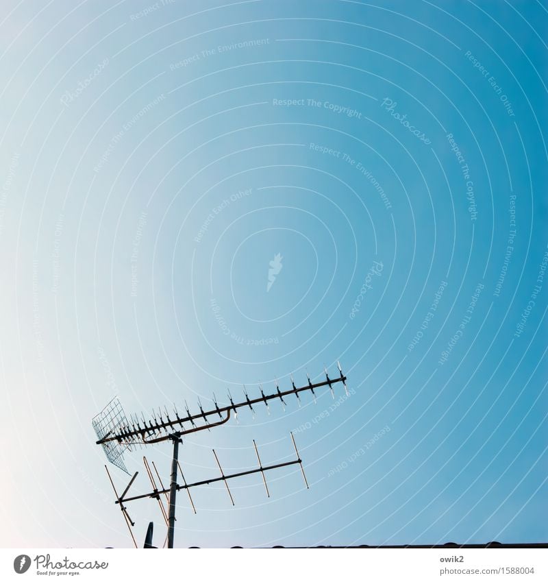 Heimlich Westfernsehen gucken Wolkenloser Himmel Schönes Wetter Dach Antenne Metall stehen alt authentisch fest historisch oben retro Wachsamkeit