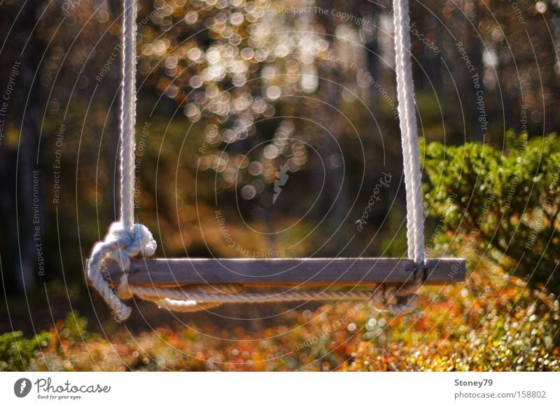 Schaukel Garten Natur Herbst Schönes Wetter Wärme Sträucher Wald schaukeln träumen Freundlichkeit Freude Geborgenheit friedlich Sehnsucht Einsamkeit Frieden