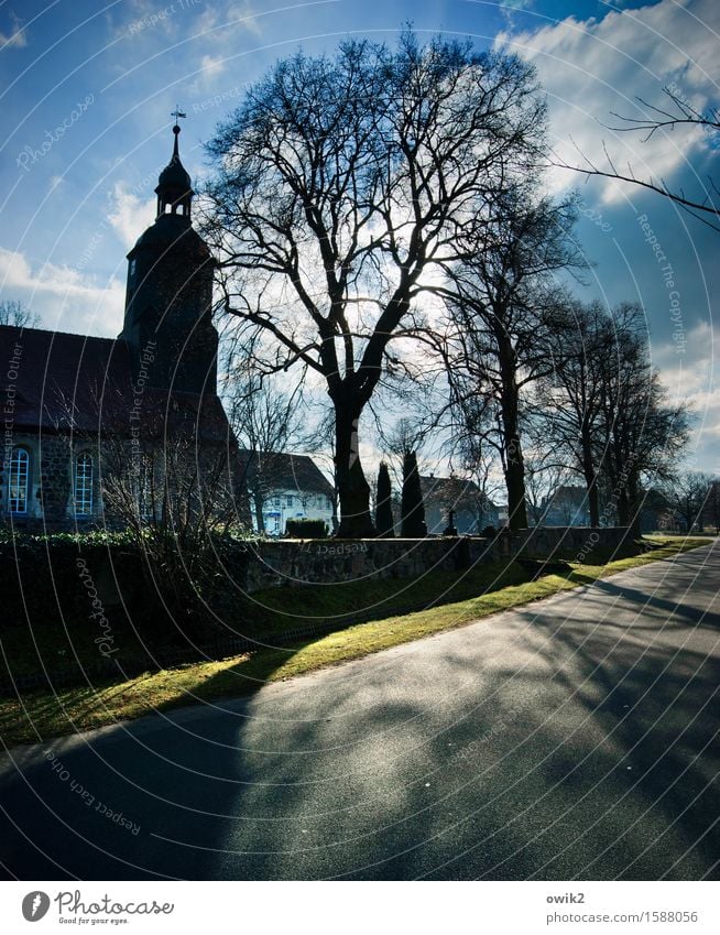 Mauerstreifen Umwelt Natur Himmel Wolken Frühling Klima Wetter Schönes Wetter Baum Gras Landkreis Teltow-Fläming Brandenburg Deutschland Dorf bevölkert Haus