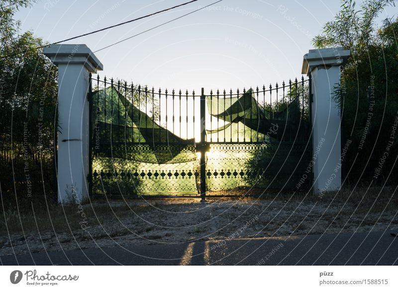 Tor ins Licht Umwelt Natur Sonne Sonnenlicht Sträucher Dorf Menschenleer Garten Straße Wege & Pfade gelb grün Zaun Abdeckung mystisch Portugal Pferch