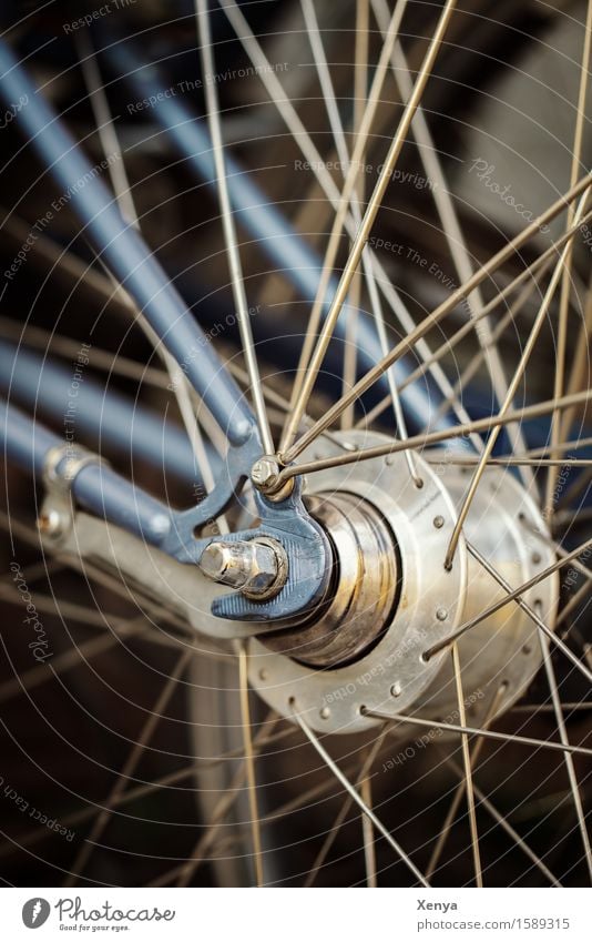 Radspeichen Fahrrad Metall blau silber Speichen durcheinander Schraube Außenaufnahme Nahaufnahme Menschenleer Farbfoto Tag Detailaufnahme Gedeckte Farben