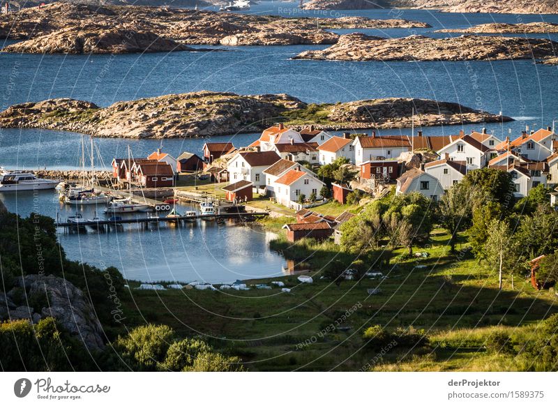 Kleines Fischerdorf auf den Schären Umwelt Natur Landschaft Pflanze Tier Sommer Schönes Wetter Hügel Felsen Wellen Küste Seeufer Strand Fjord Ostsee Insel Haus