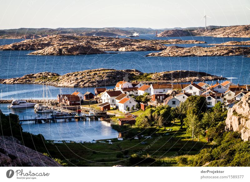 Insel in den Schären von Schweden Umwelt Natur Landschaft Pflanze Tier Sommer Schönes Wetter Wellen Küste Bucht Fjord Ostsee Haus Schifffahrt Fischerboot