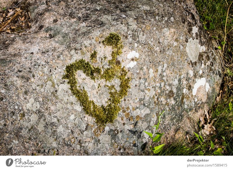 Ein Herz aus Stein Ferien & Urlaub & Reisen Tourismus Ferne Freiheit Sightseeing Sommerurlaub Umwelt Natur Landschaft Pflanze Tier Urelemente Felsen Fjord