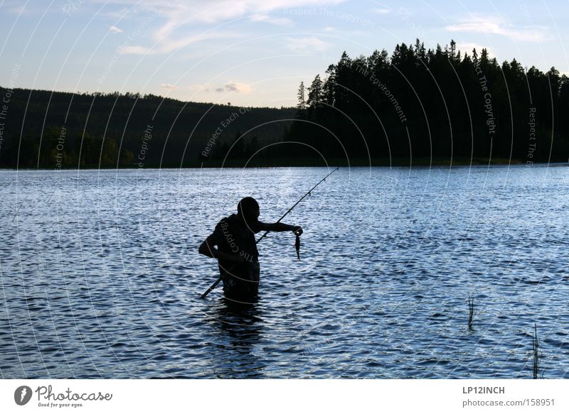 Große Fische, kleine fische Skandinavien Schweden Angeln Barsch Angelrute Blick fangen Wasser Fliegenfischen Raubfisch Abend Angelköder stehen Fluss Bach Erfolg