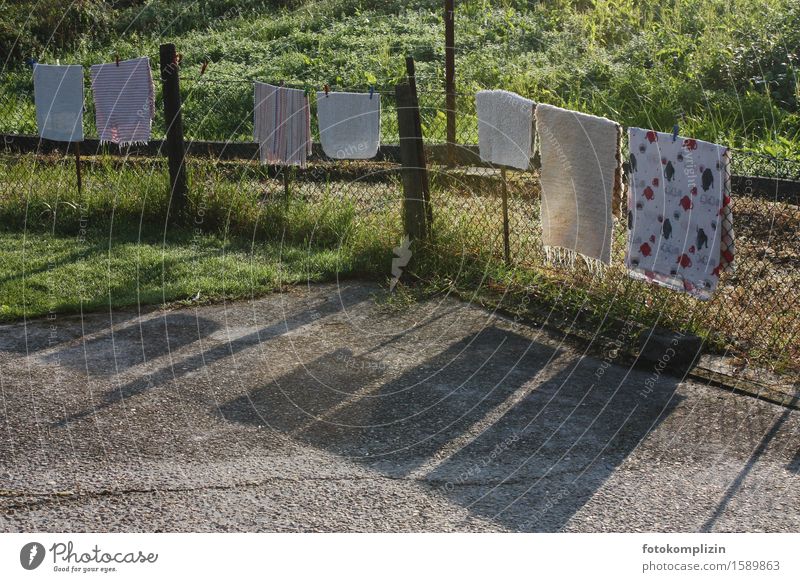 Teppiche hängen zum Lüften / Trocknen über einen Zaun Alltag Wäscheleine lüften werfen Sauberkeit Reinlichkeit Nostalgie aufhängen trocknen sauber Schatten