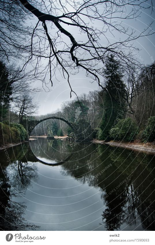 Loch in der Landschaft Umwelt Natur Pflanze Himmel Wolken Horizont Wetter Baum Sträucher Seeufer Bauwerk Bogenbrücke rund Idylle Zweige u. Äste Deutschland