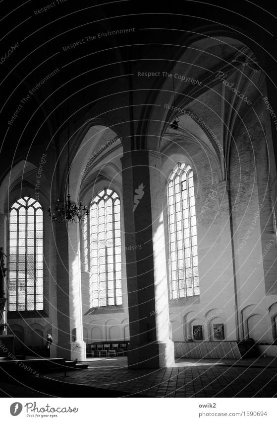 Lausitzer Gotik Frau Erwachsene Kirche Dom Bauwerk Fenster Säule Bogen Kirchenfenster Altarraum Chorraum leuchten hoch Glaube Religion & Glaube Hoffnung heilig