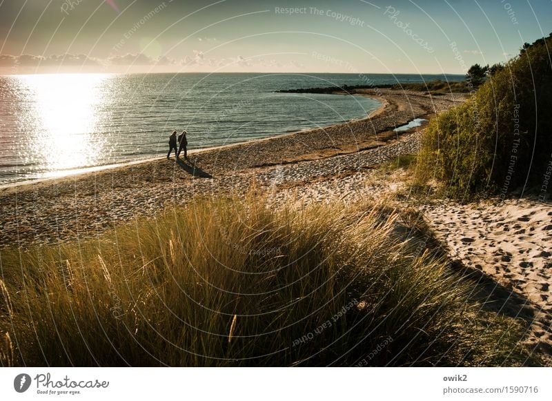 Seestück Mensch Frau Erwachsene Mann 2 Umwelt Natur Landschaft Pflanze Sand Luft Wasser Himmel Wolken Horizont Herbst Schönes Wetter Gras Sträucher Küste Ostsee