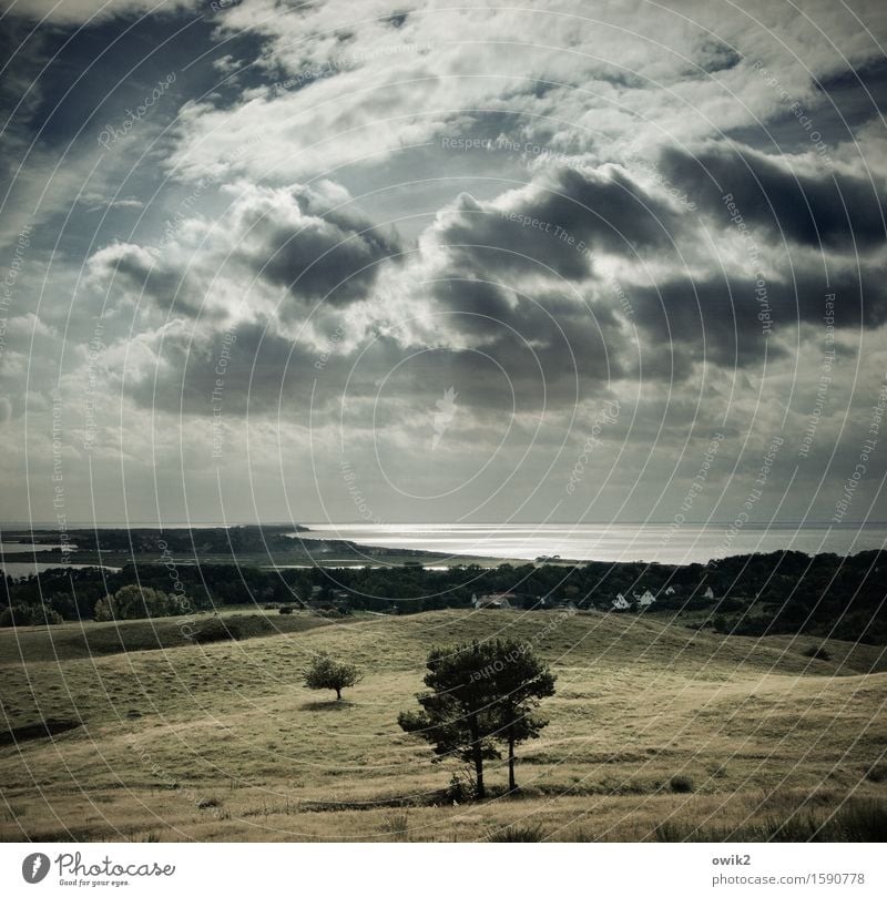 Herbst auf Hiddensee Umwelt Natur Landschaft Pflanze Wasser Himmel Wolken Horizont Klima Schönes Wetter Baum Gras Sträucher Ostsee Insel glänzend leuchten hell