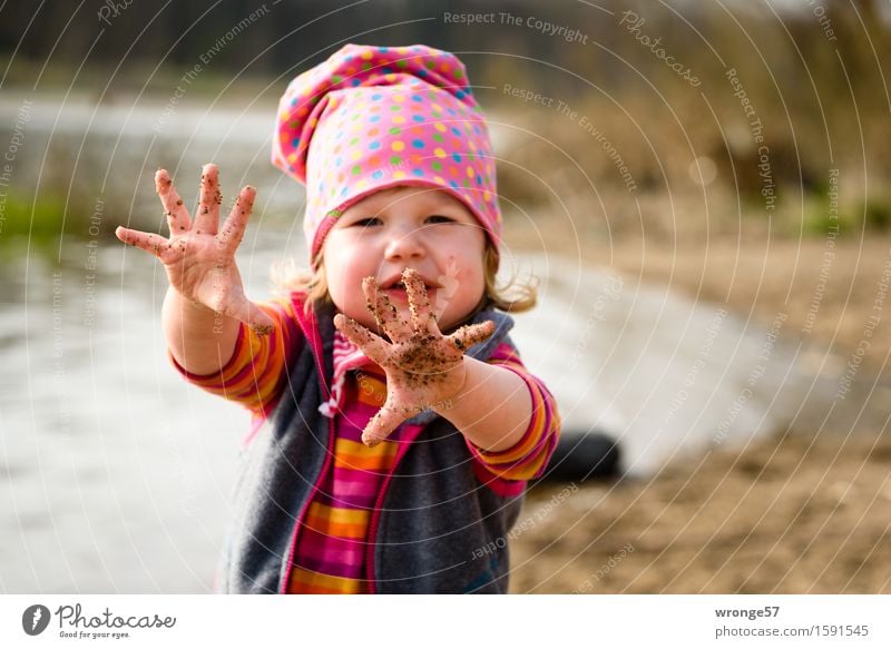 Schmutzfinger Spielen Abenteuer Mensch feminin Kind Kleinkind Mädchen 1 1-3 Jahre Frühling Schönes Wetter Flussufer Strand dreckig nass braun grau rosa rot