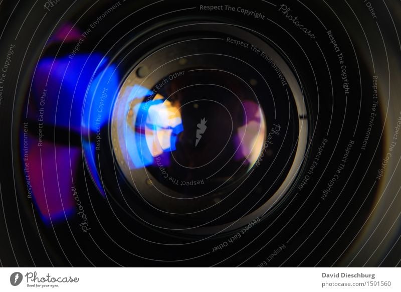 Linse II Freizeit & Hobby Videokamera Fotokamera Technik & Technologie Unterhaltungselektronik Fortschritt Zukunft High-Tech Mikroskop Glas blau violett schwarz