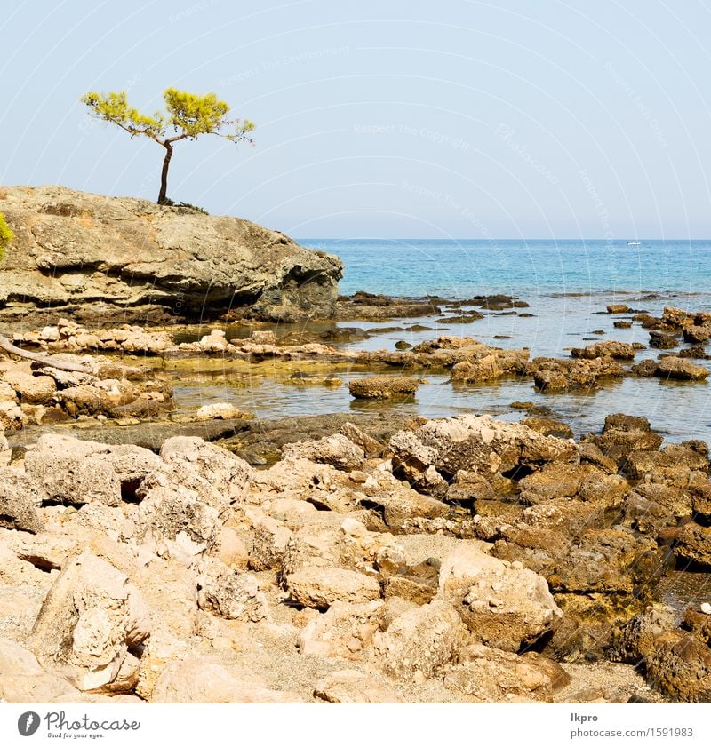 Europa Kiefer Pflanze und Baum Ferien & Urlaub & Reisen Tourismus Sommer Sonne Strand Meer Insel Berge u. Gebirge Natur Landschaft Himmel Wolken Klima Felsen