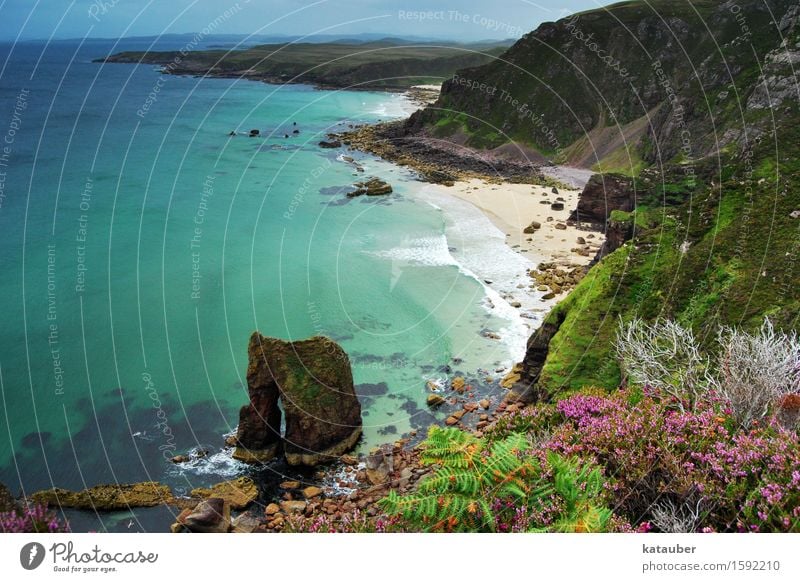 traumhafte bucht Natur Landschaft Pflanze Wasser Felsen Wellen Küste Meer außergewöhnlich exotisch frei Unendlichkeit maritim mehrfarbig türkis Zufriedenheit